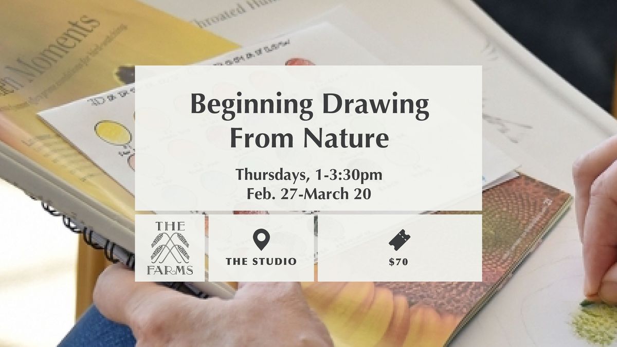 Beginning Drawing from Nature