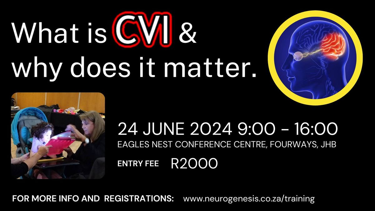 CVI workshop - What is CVI & Why does it matter.