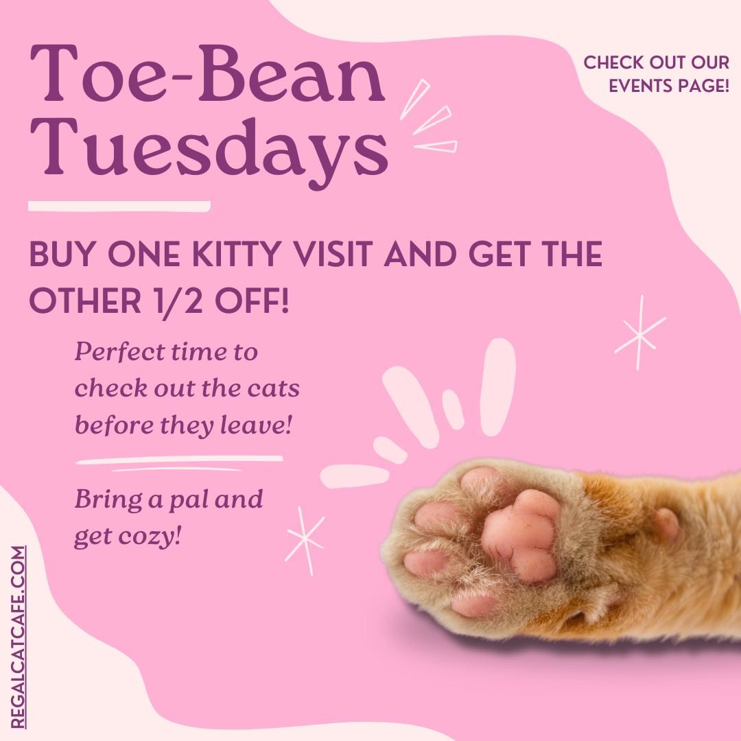 Toe Bean Tuesday