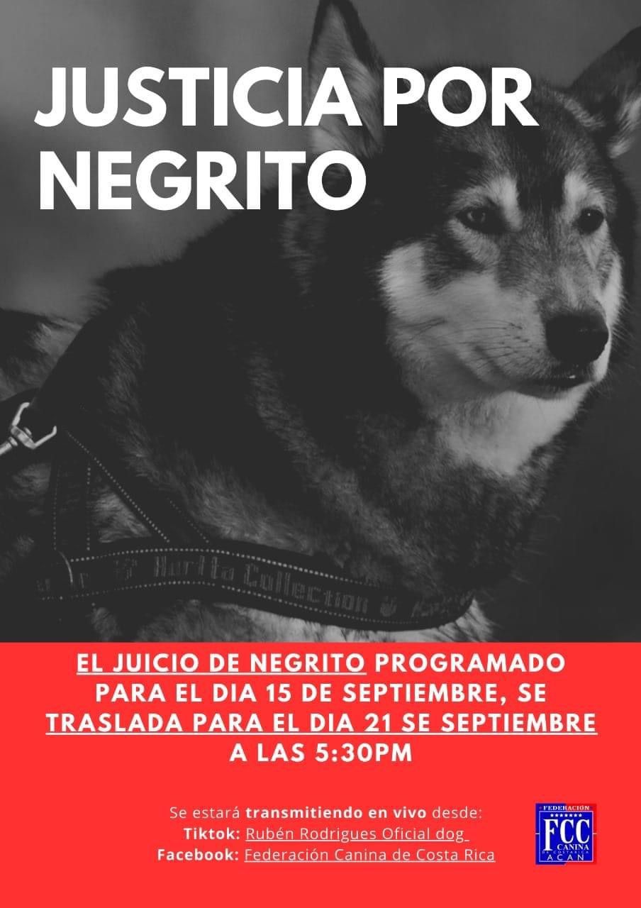 Juicio negrito