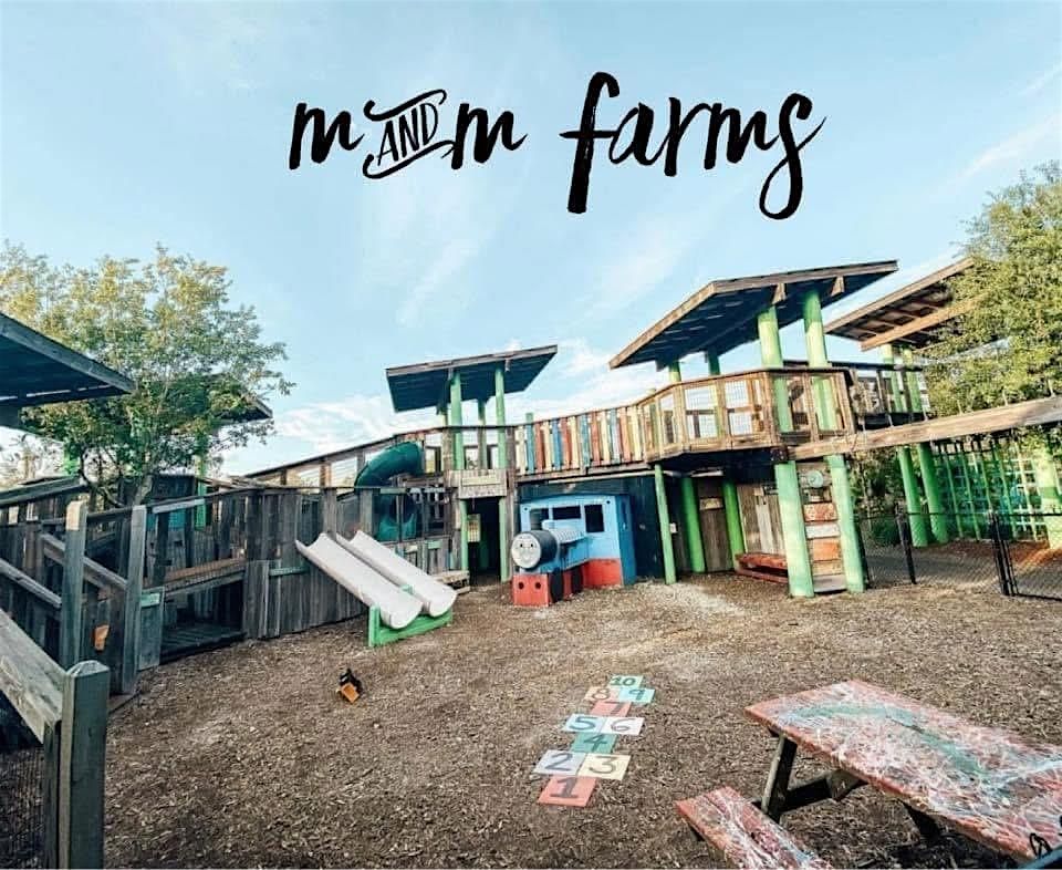 Beef Homeschool Farm Field Trip