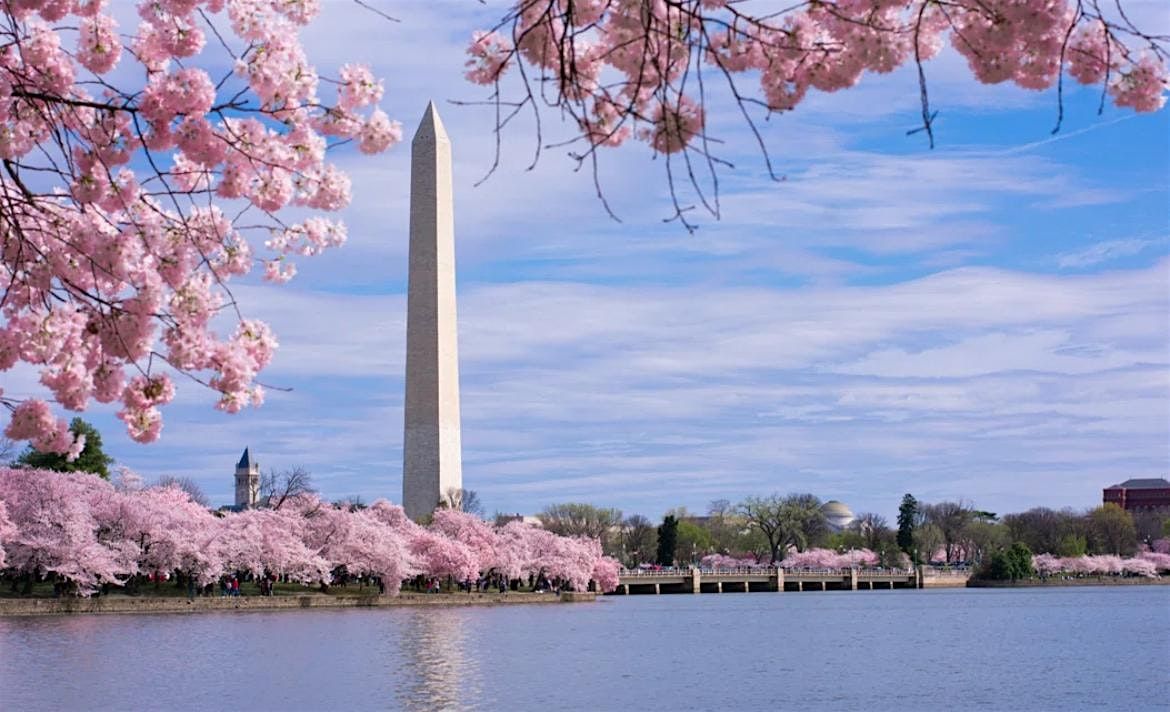 Bus Trip to The Cherry Blossom Festival in Washington DC