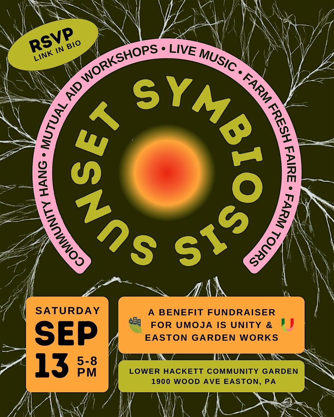 Sunset Symbiosis