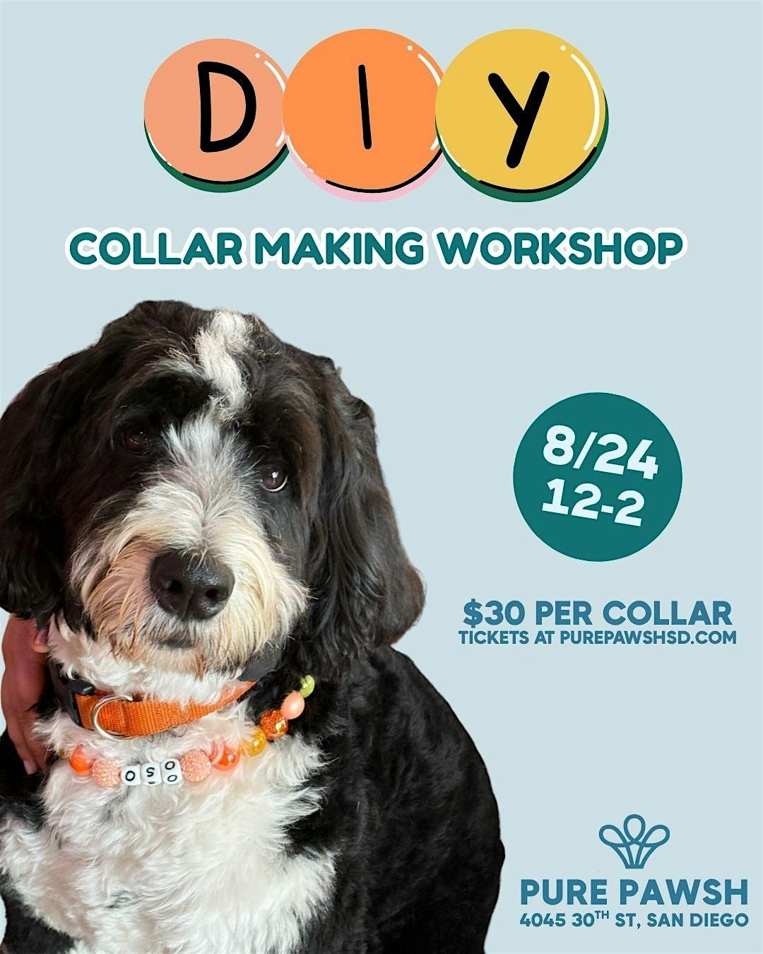 Collar Making Workshop