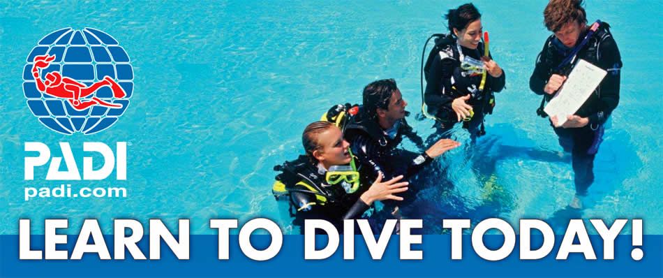 Learn to Dive on August 10-11