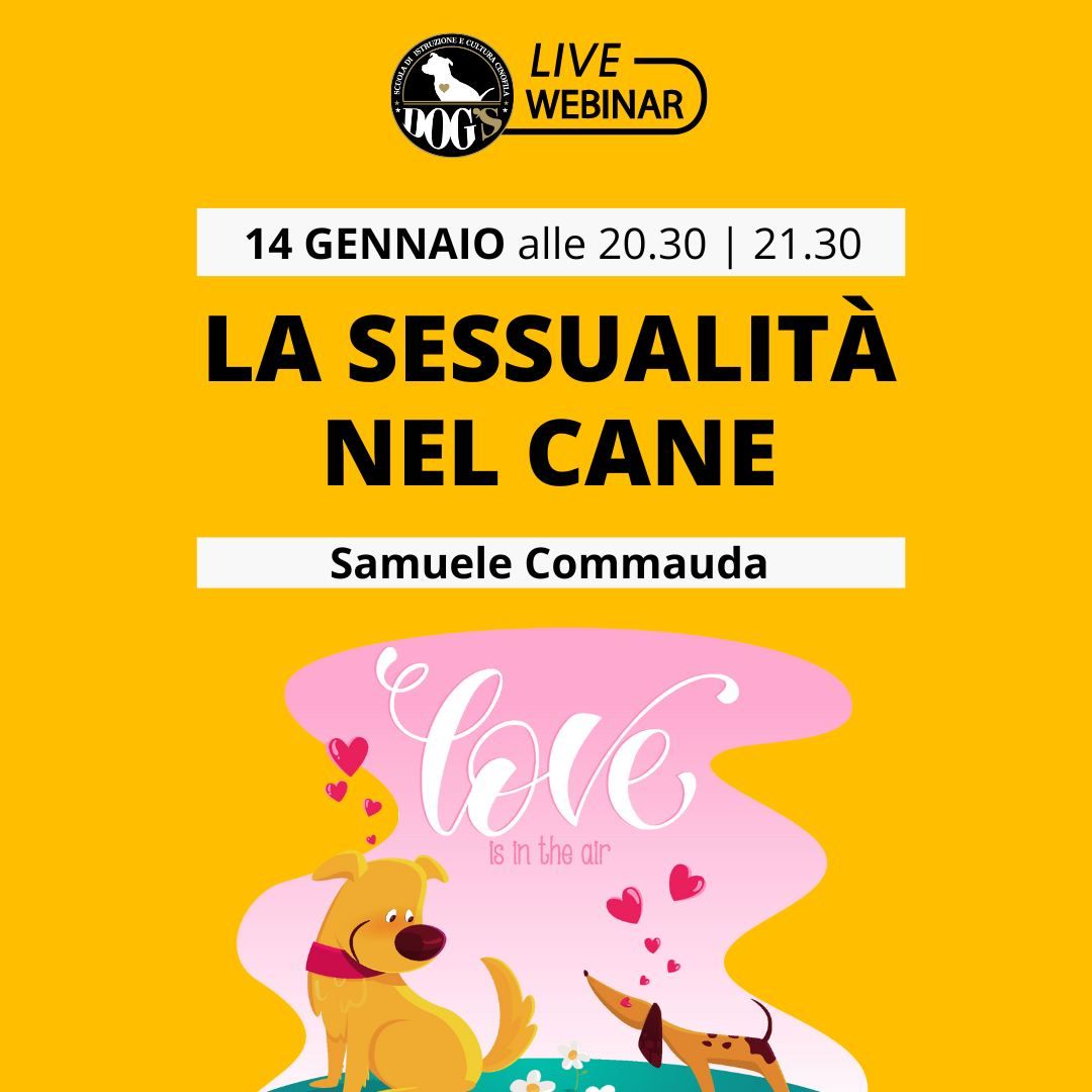 LA SESSUALITA' NEL CANE - WEBINAR GRATUITO