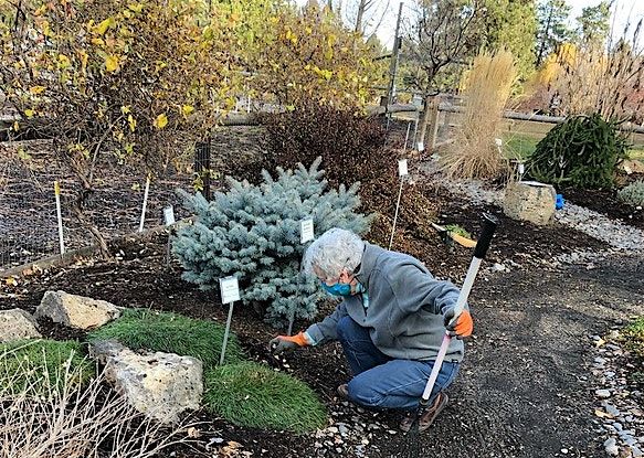 Preparing Your Landscape for Winter