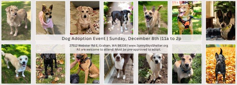 Dog Adoption Event