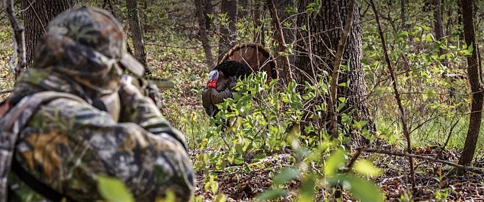 Learn to Hunt Turkey 101 in Illinois