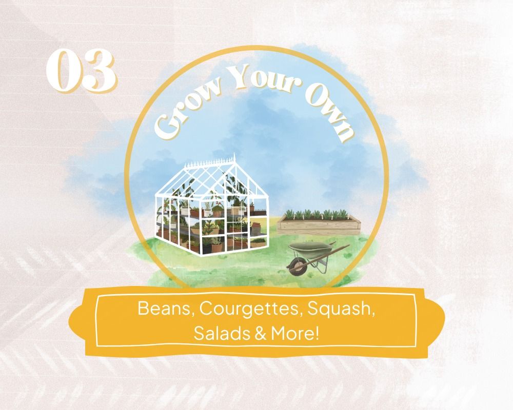 G.Y.O April - Beans, Courgettes, Squash, Salads & more...