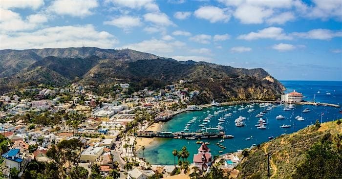 Adventurous Scavenger Hunt - By The Beaches of Avalon!