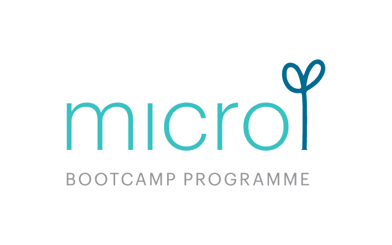 Micro Bootcamp 30