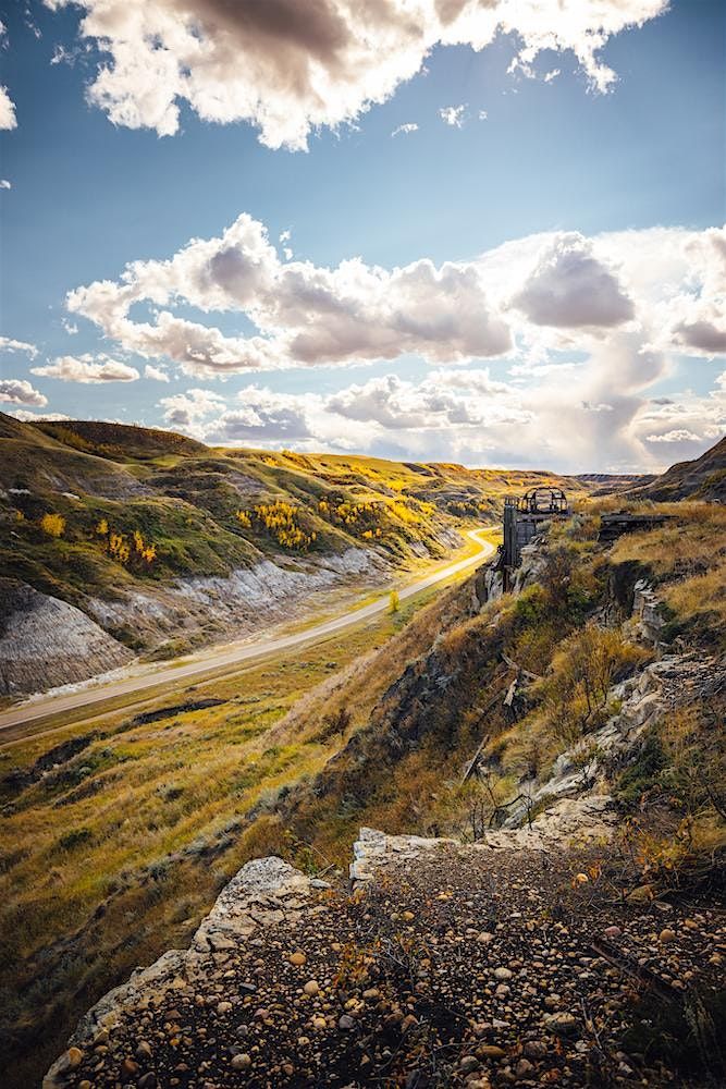 Seasonal Business Q&A: Online