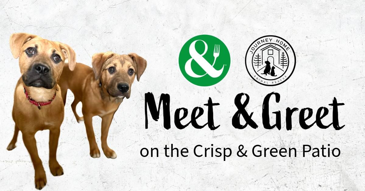 Crisp & Green Dog Meet & Greet