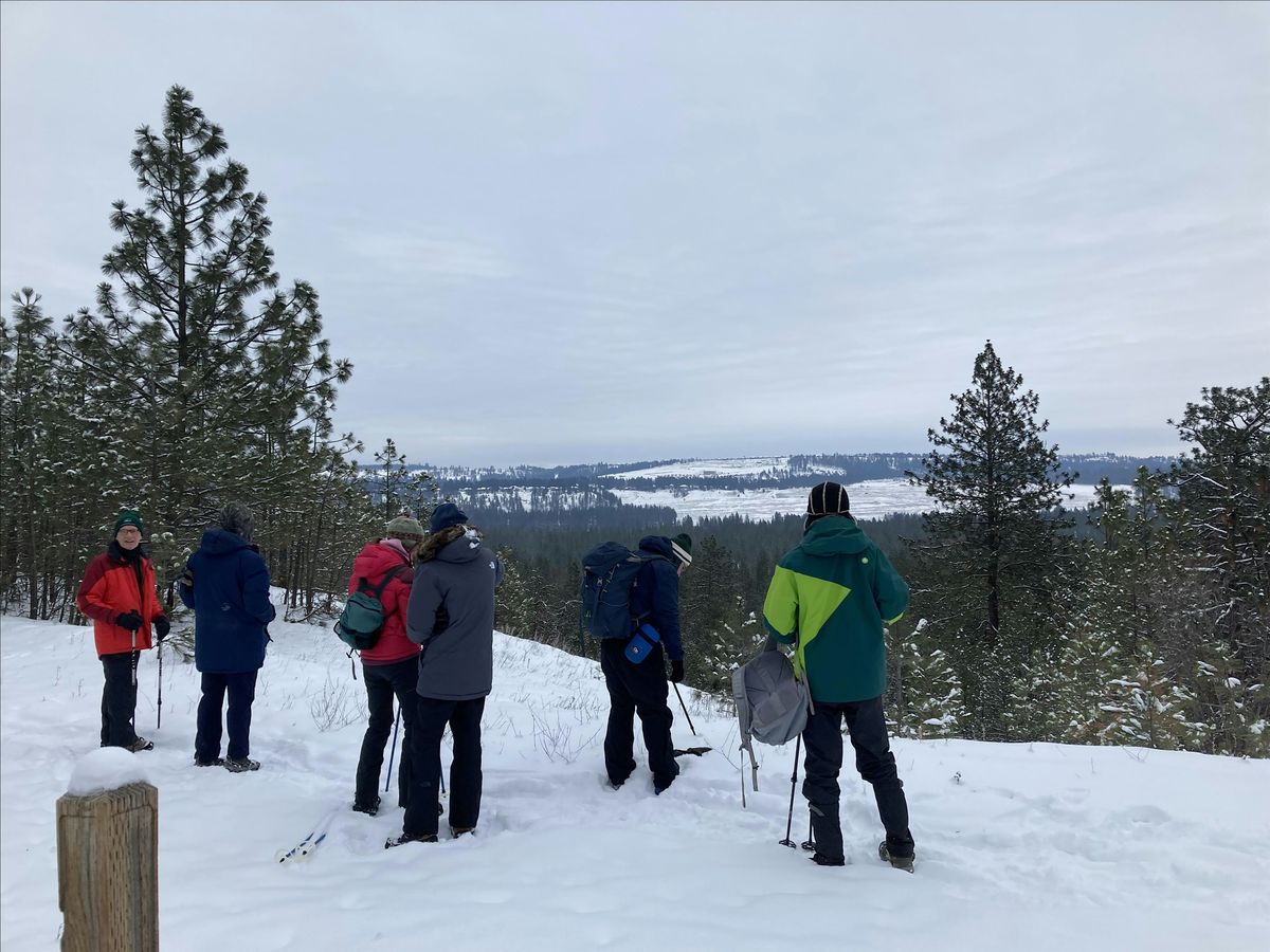Riverside's Trautman Conservation Area First Day Hike