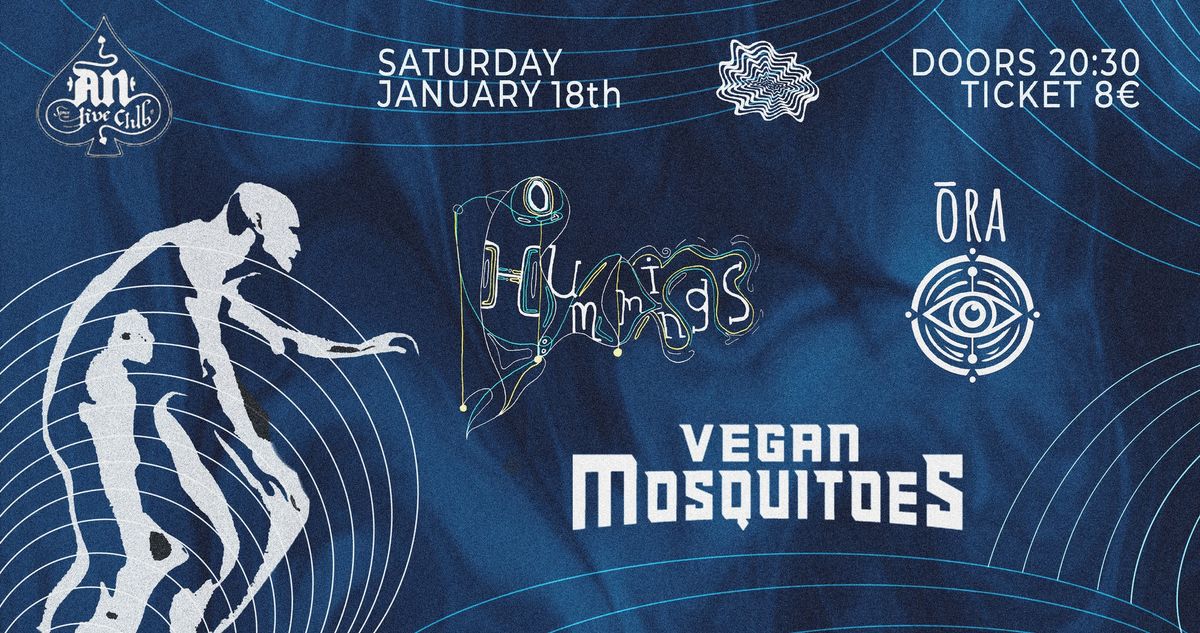 Vegan Mosquitoes - Hummings - \u014cra \/ LIVE @AnClub