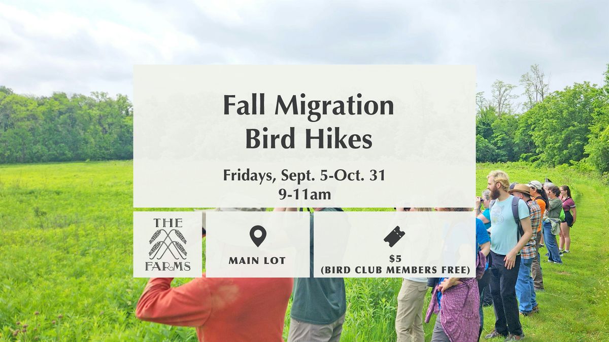 Fall Migration Bird Hikes