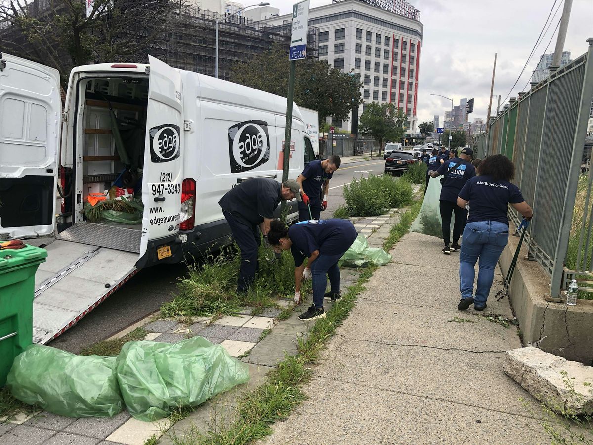 Street Tree Care  w\/ Sunnyside Gardens