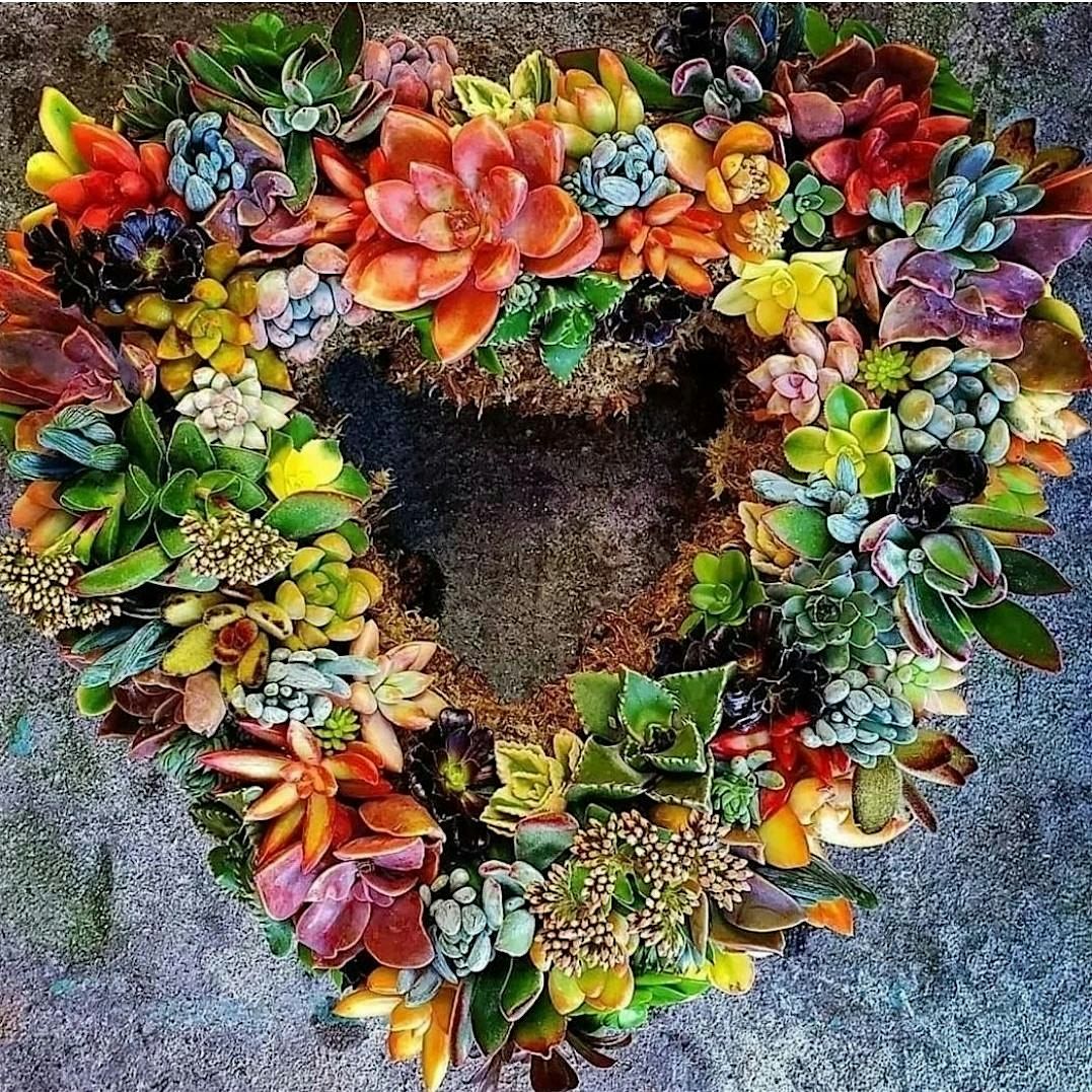 Succulent Heart Wreath Workshop At La Mesa Wine Works