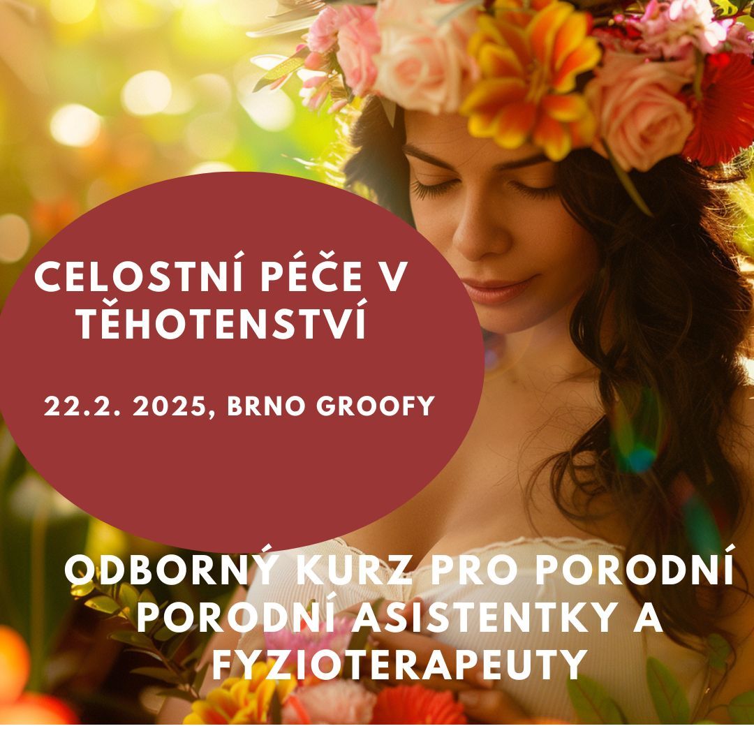 Holistick\u00e1 p\u00e9\u010de o t\u011bhotnou \u017eenu z pohledu porodn\u00ed asistence- Brno