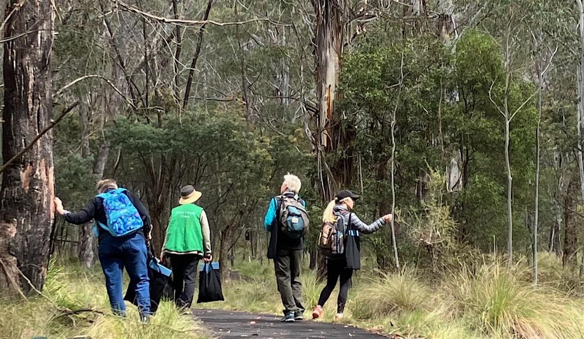 Spring Guided Forest Therapy walk at Tidbinbilla Nature Reserve