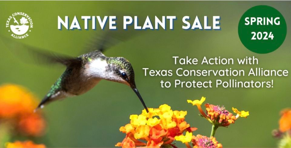 Native Plant Sale at WBU East Dallas!