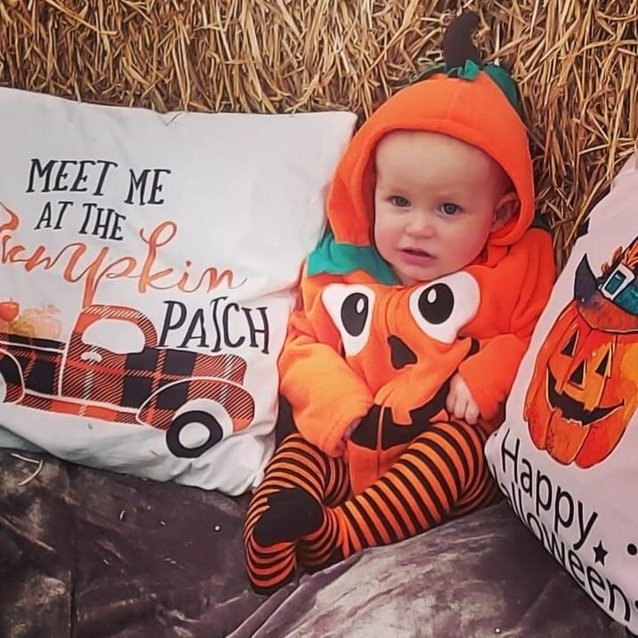 Galway Pumpkin Patch 2024