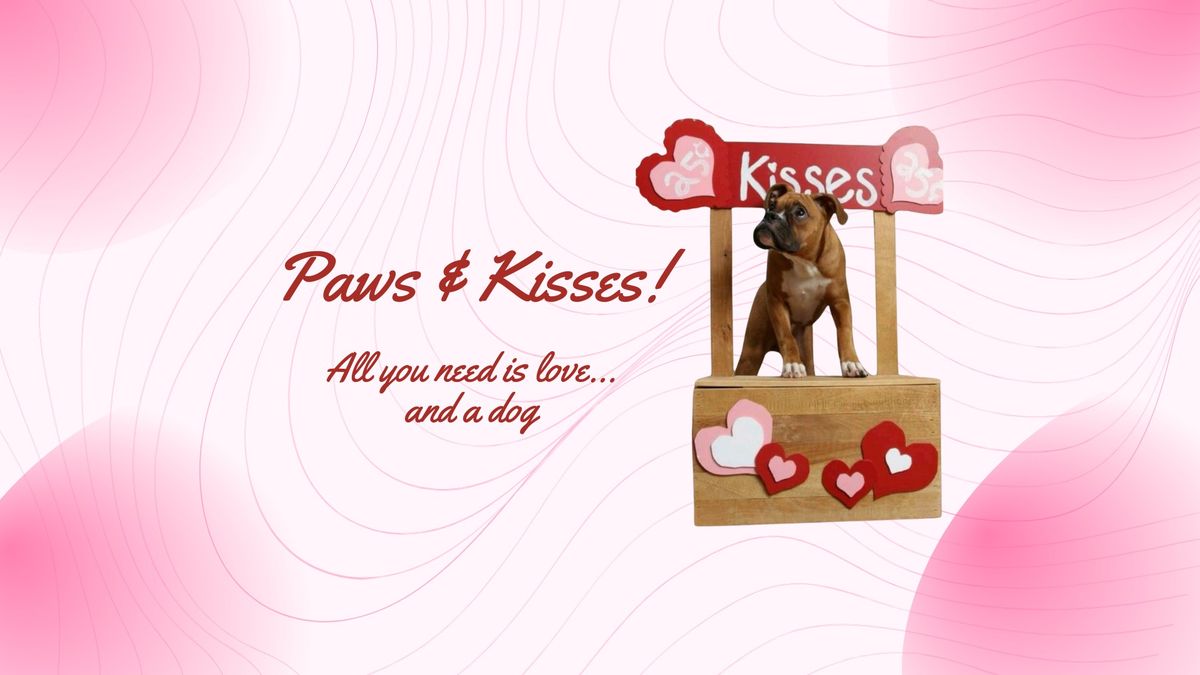 Paws & Kisses - Valentine's Day Photos