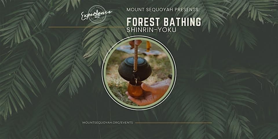 Forest Bathing on the Mountain \u2013 A Journey Inward