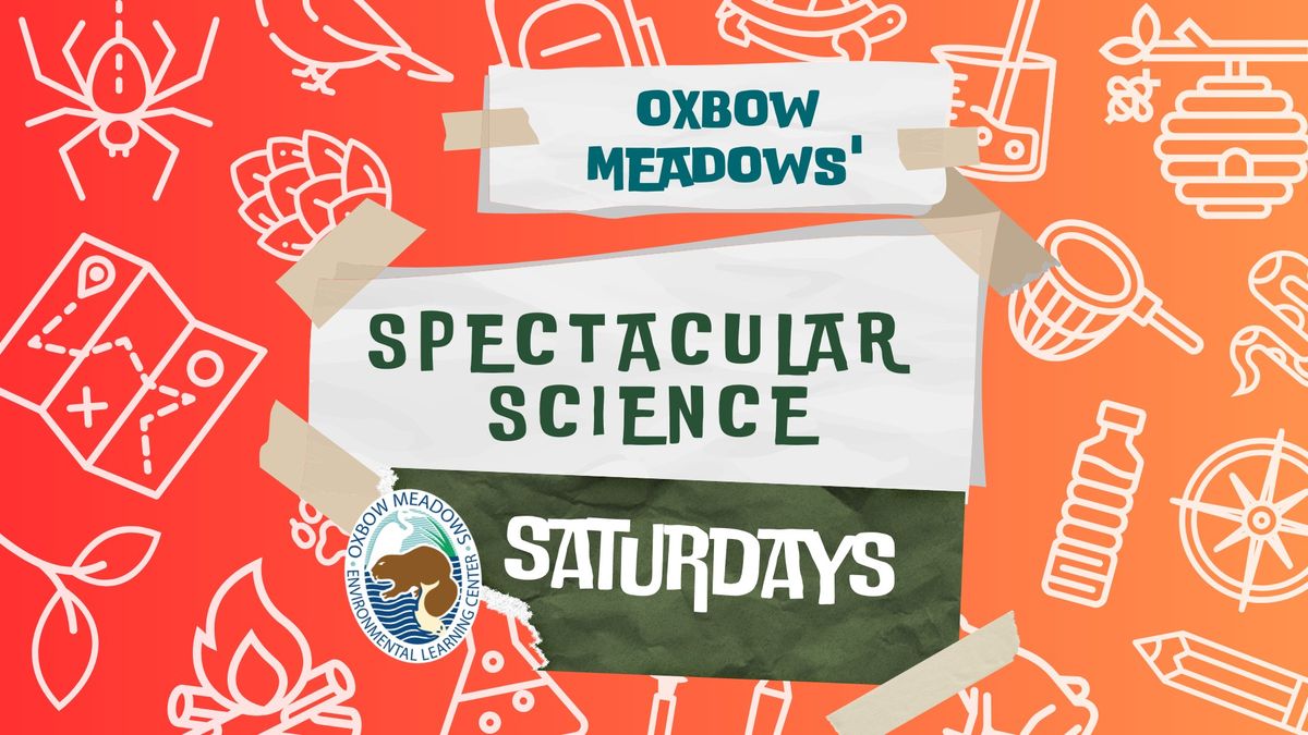 Spectacular Science Saturday: November 23rd