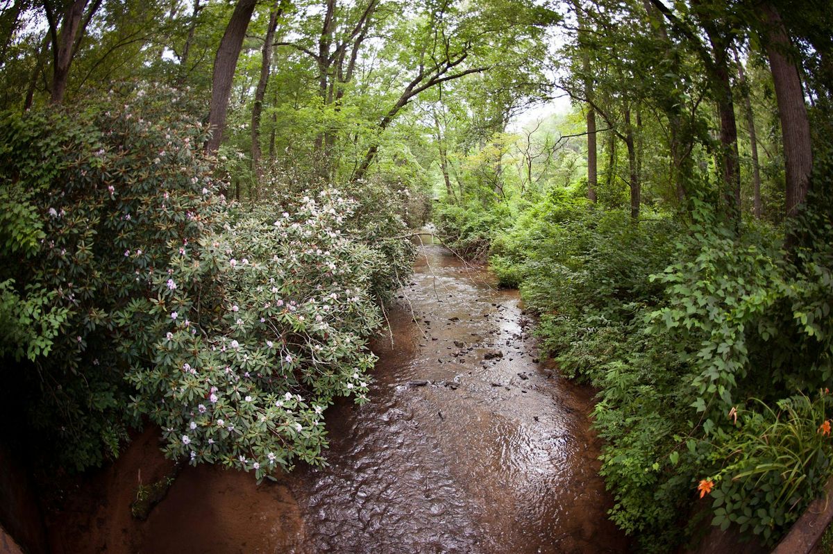 Streams & Creeks of the Arboretum