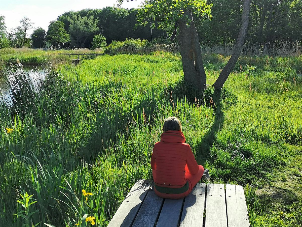 Bosbaden \/ Shinrin-Yoku \/ Forest Bathing - Amsterdamse Bos