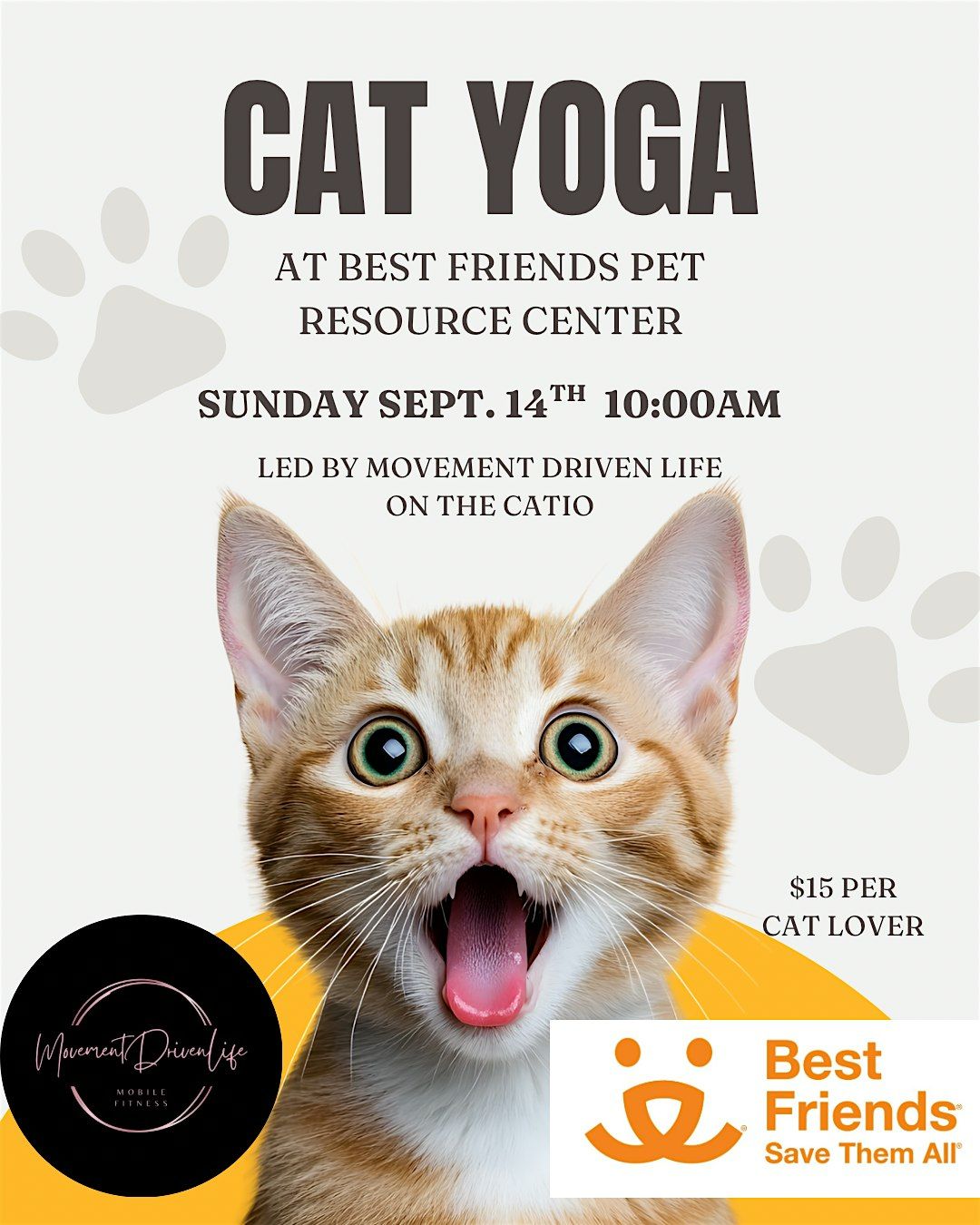 Cat Yoga at Best Friends Pet Resource Center
