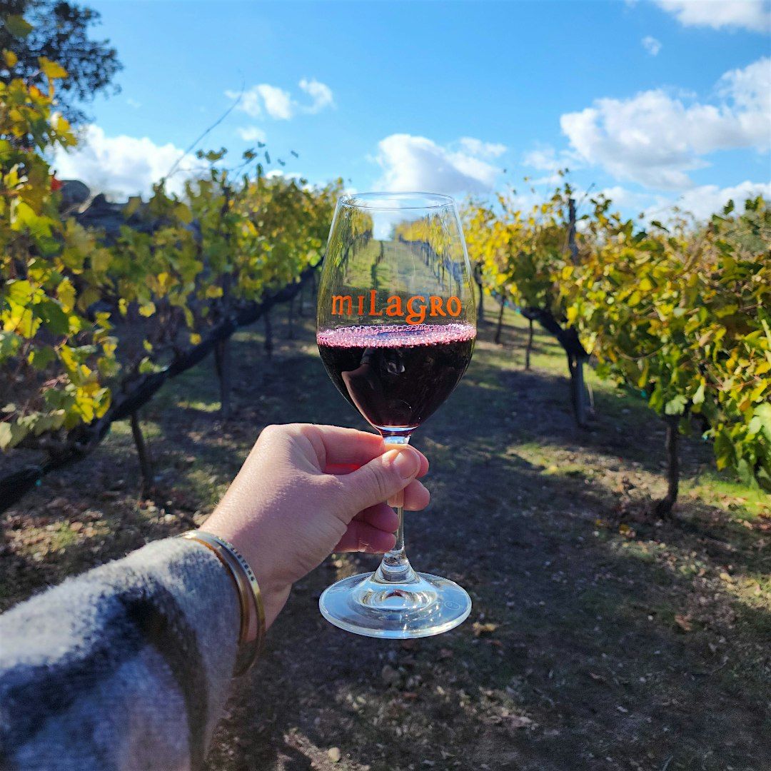 Winter Wine Wander