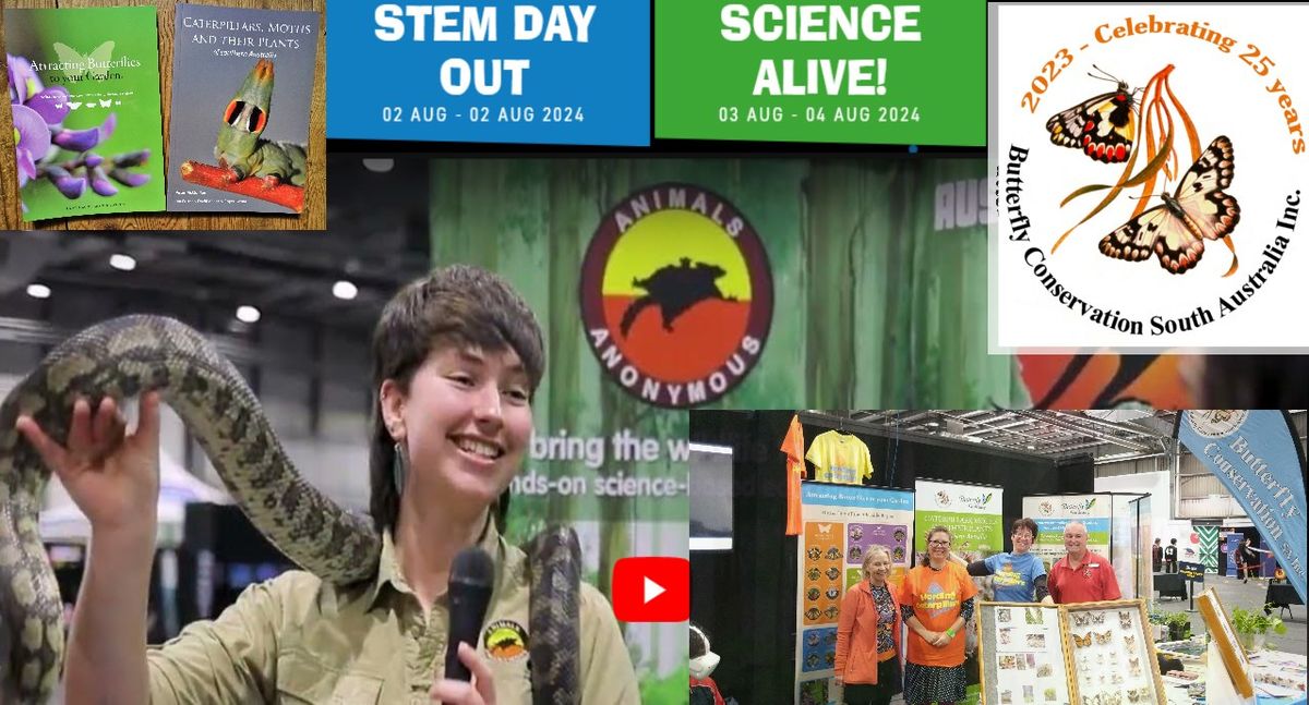 STEM Day out & Science Alive 