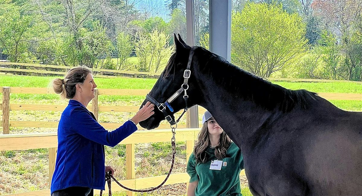 90 min FREE  Equine Learning Session @Dreamwinds Tryon, NC