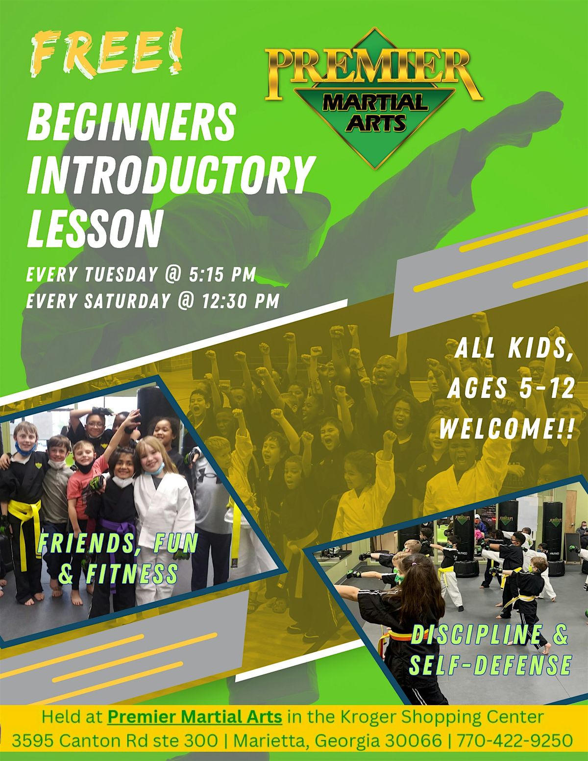Free Beginners Introductory Lessons for Kids @ PMA Marietta