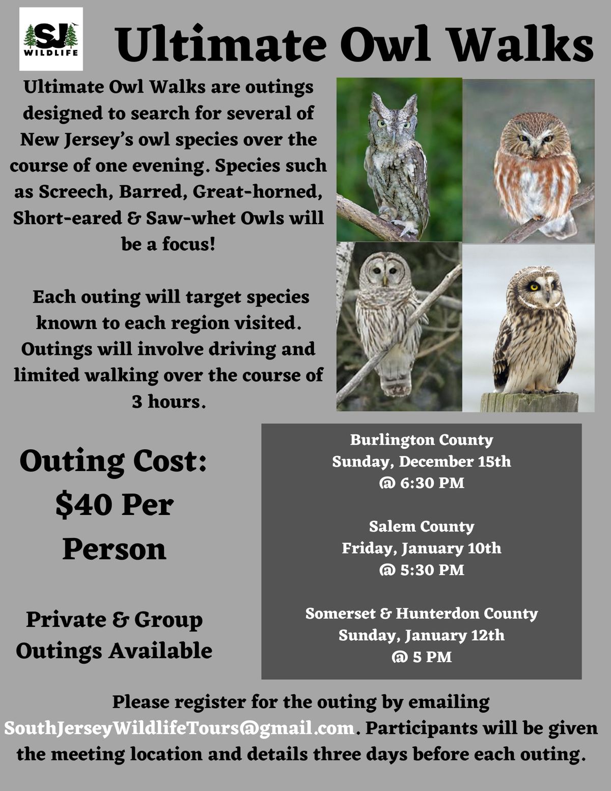 Ultimate Owl Walk - Burlington County