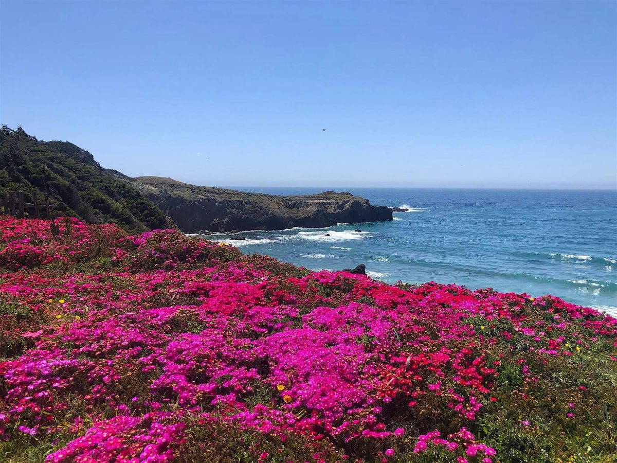 Medicine Basket Retreat