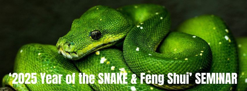 2025 Year of the SNAKE & Feng Shui