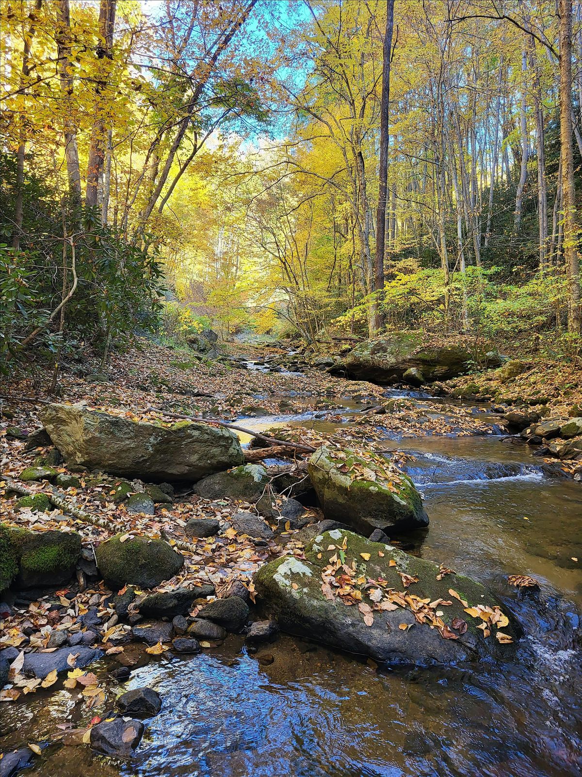 Let's Hike!