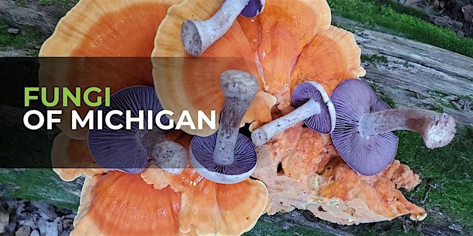 Fungi of Michigan