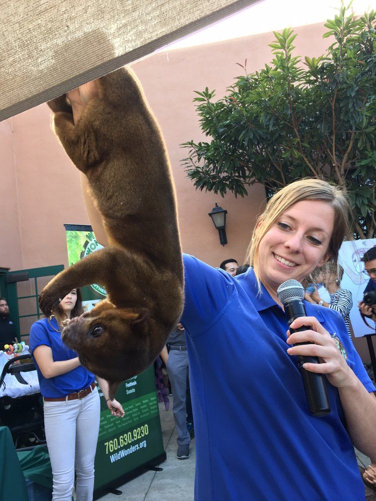 Animal Show with Wild Wonders