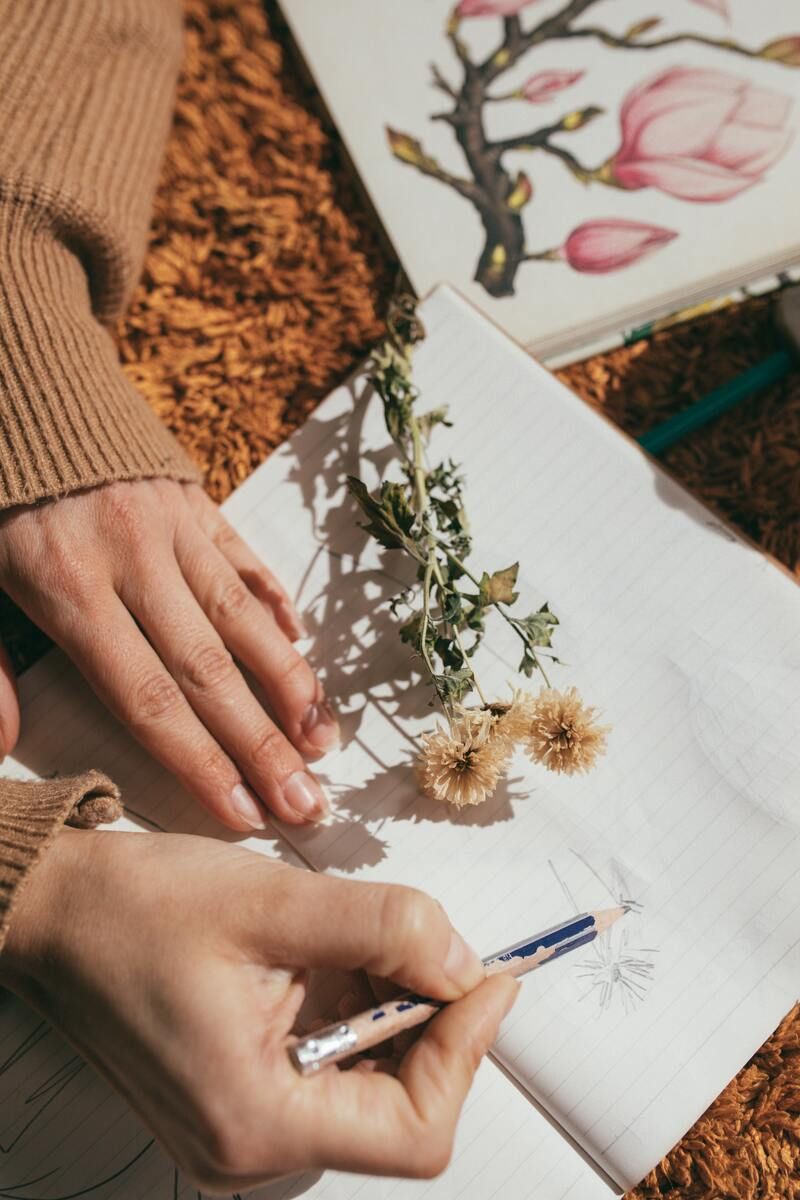 Drawing Plants and Flowers