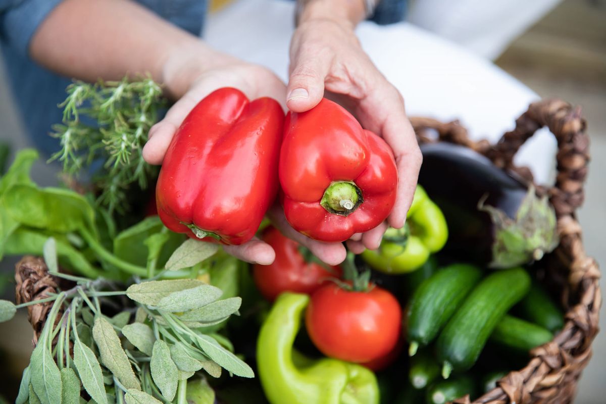 Organic Vegetable Gardening