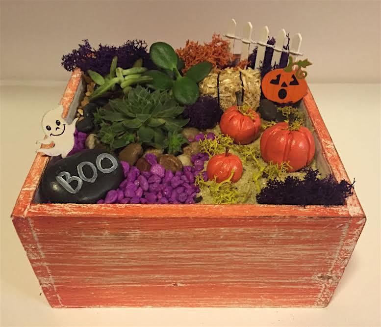 Plant Nite: Make a Succulent Terrarium