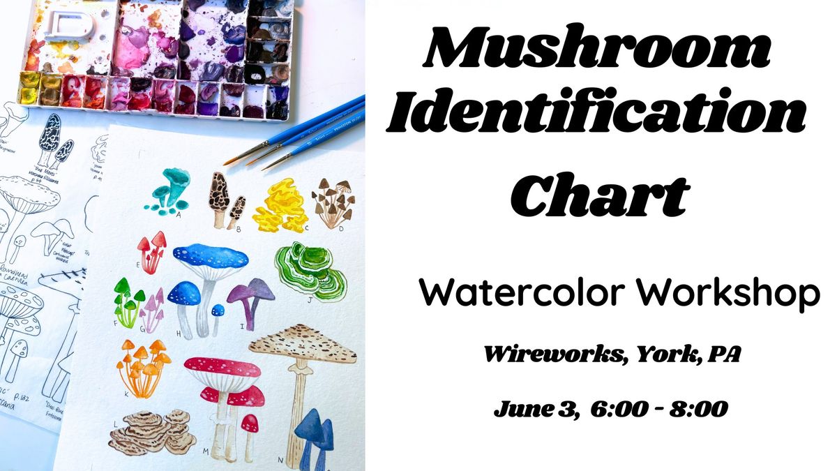 Mushroom Identification Chart Watercolor Workshop