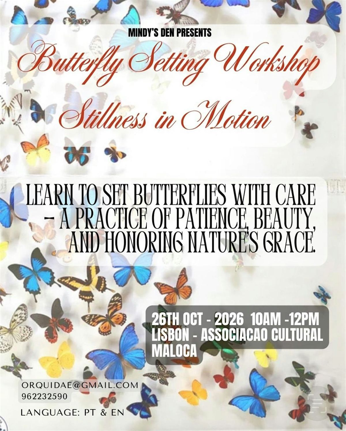 Butterfly setting - Lisbon