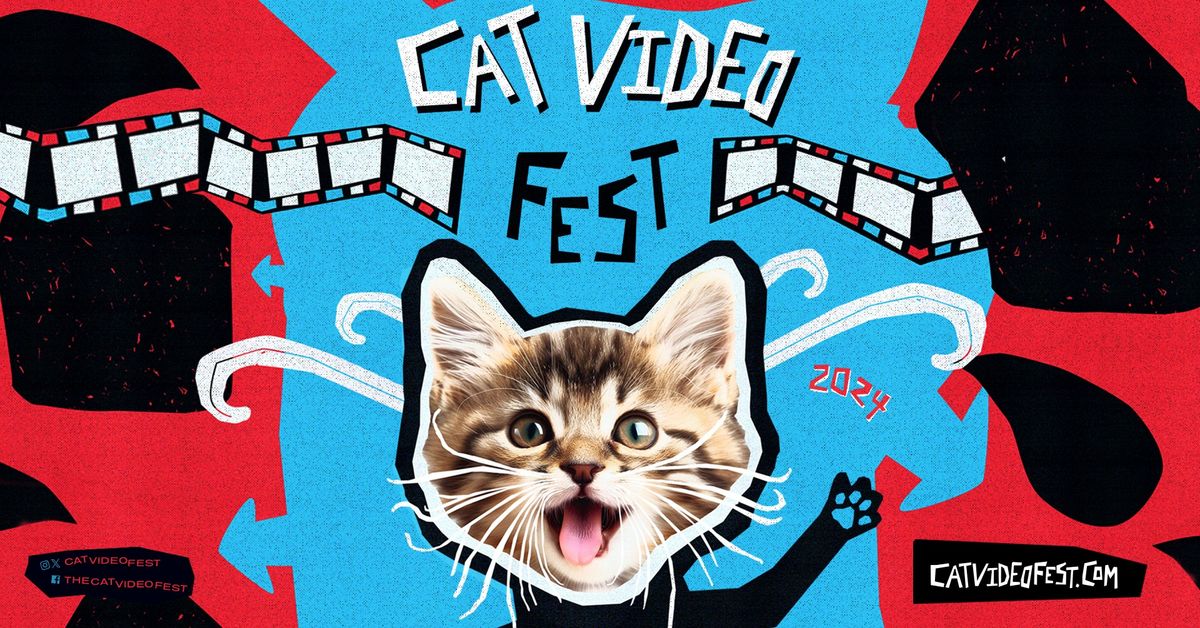 CatVideoFest 2024 | Forum Cinemas