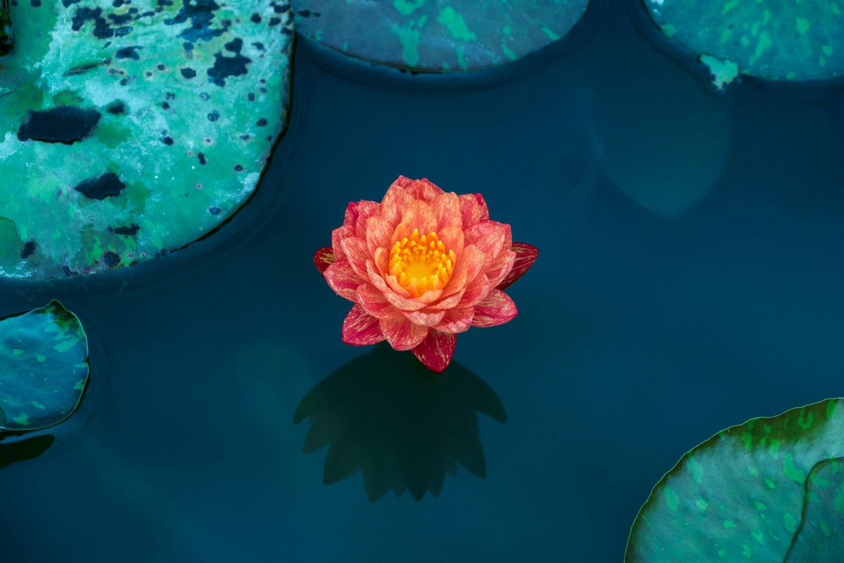 Rise and Reflect: A Day Retreat  for Women of Color